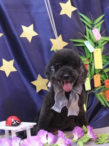 20230725クロちゃん